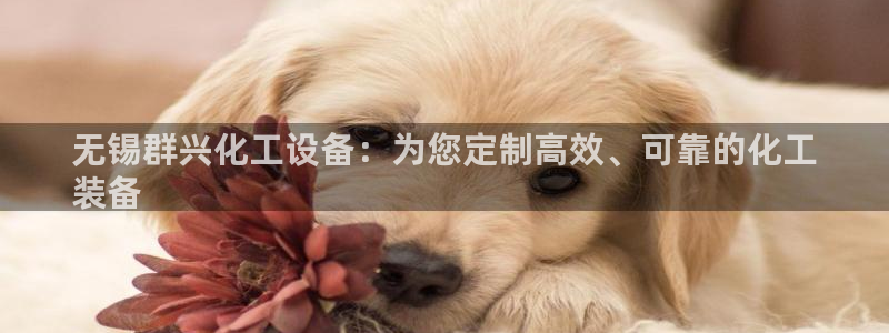 新航娱乐扣款详情怎么看