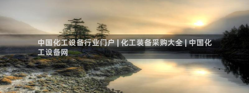 新航娱乐平台用户评价及反馈