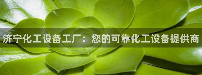 新航娱乐app手机版官网下载