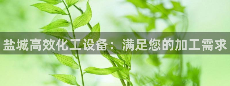 新航娱乐的创始人背景是什么
