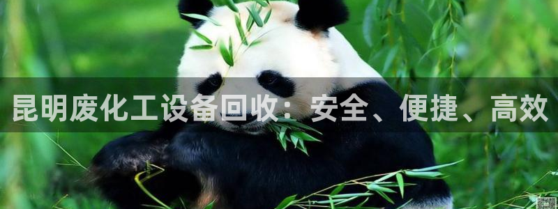 新航娱乐雀7IIII2联他前