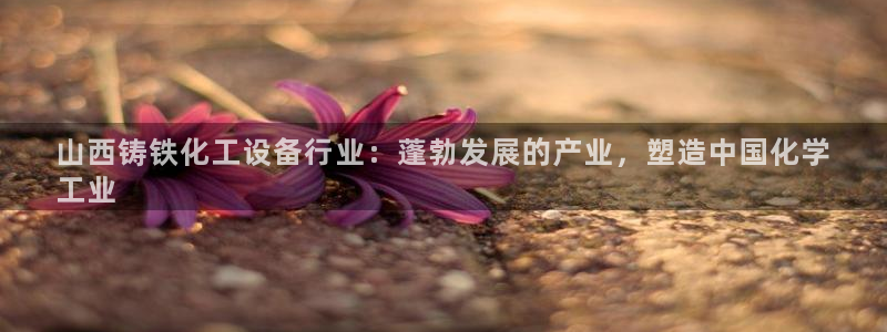 新航娱乐集团最新消息今天