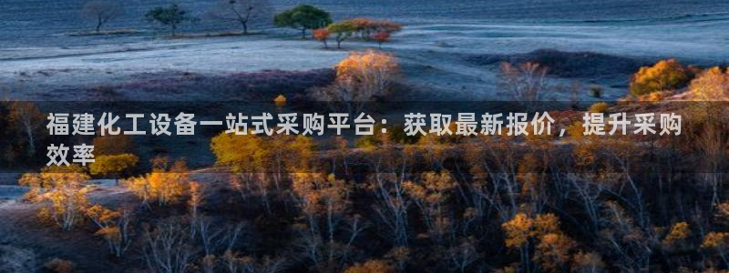 新航娱乐平台用户评价及反馈