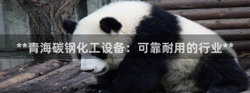 新航娱乐app的最新版本更新内容