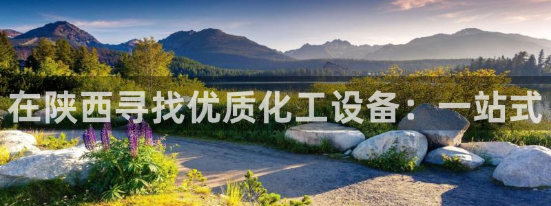 新航娱乐旗下艺人名单