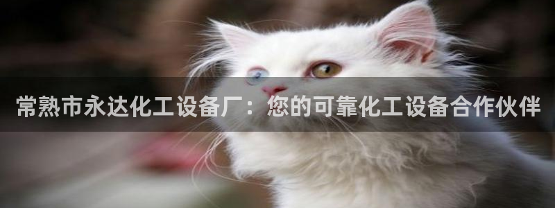 新航娱乐公司扣费流程详解