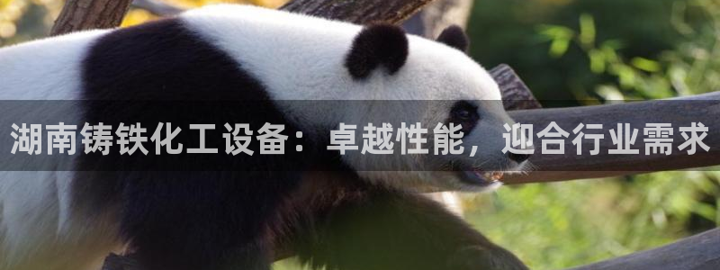 新航娱乐app最新版本更新内容是什么呢