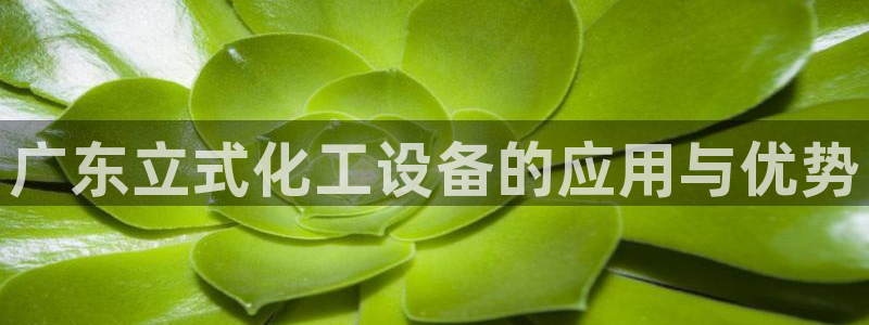 新航娱乐扣款退回步骤详解