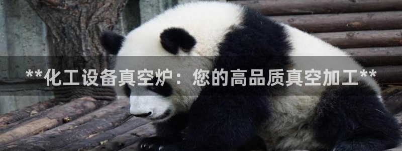 新航娱乐集团最新消息