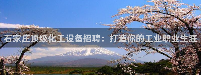 新航娱乐扣款后还能重新扣费吗怎么办