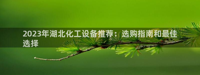 新航娱乐公司简介和历史背景