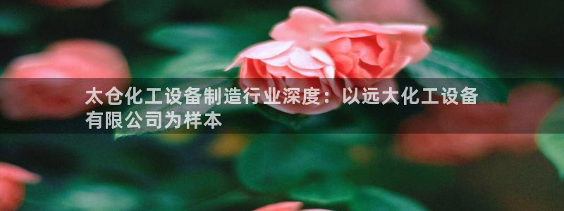 新航娱乐公司扣费流程详解图表