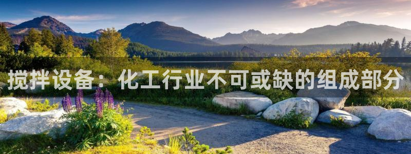 新航娱乐公司简介和历史背景介绍