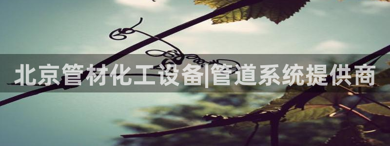 新航娱乐的会员权益与保障是什么