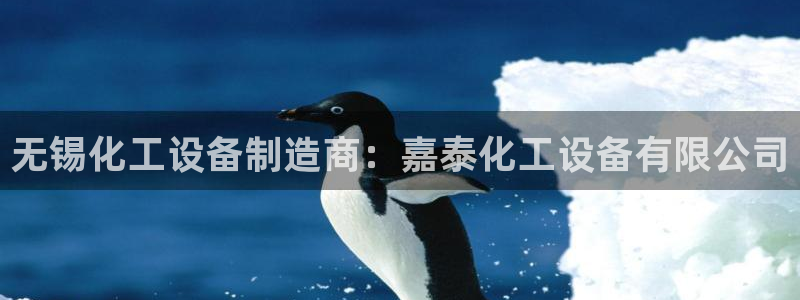 新航娱乐公司简介和历史背景分析