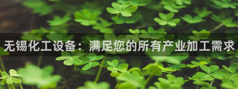 新航娱乐的创始人简介图片