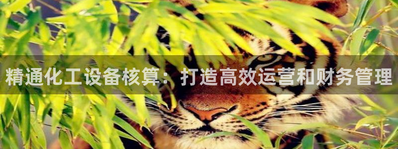 新航娱乐app手机版官网下载安装