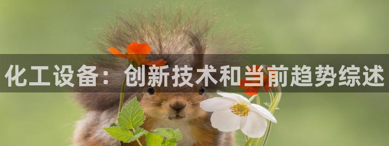 新航娱乐平台app下载