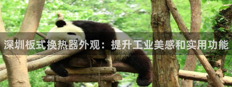 新航娱乐app的最新版本更新内容