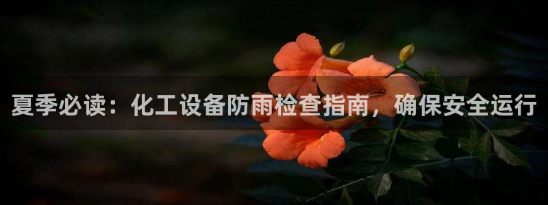 新航娱乐背后的老板叫什么