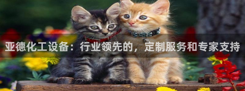 新航娱乐最新消息