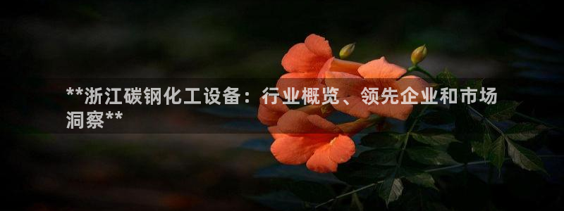 新航娱乐账号注册和账号详情