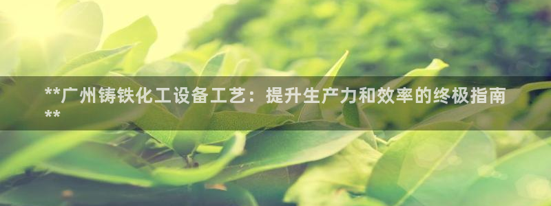 新航娱乐公司简介和历史背景分析