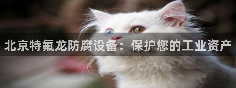 新航娱乐公司简介和历史背景怎么写