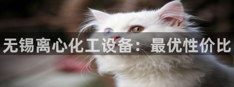 新航娱乐app最新版本更新内容介绍