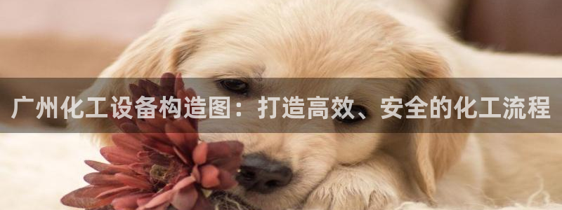 新航娱乐扣款