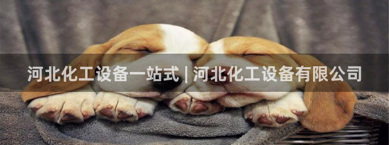 新航娱乐扣款后还能重新扣吗