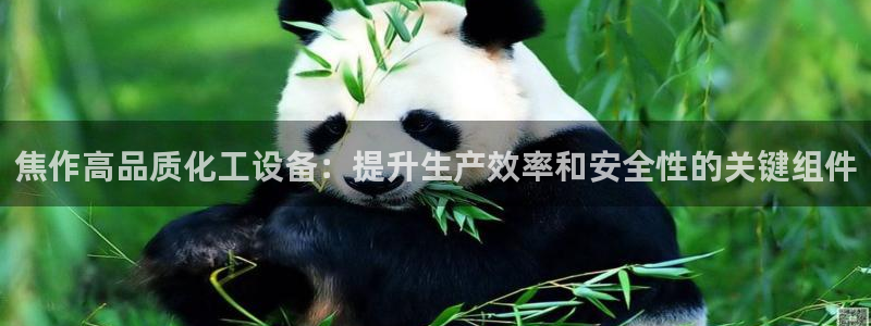 新航娱乐的股东名单和背景介绍是什么