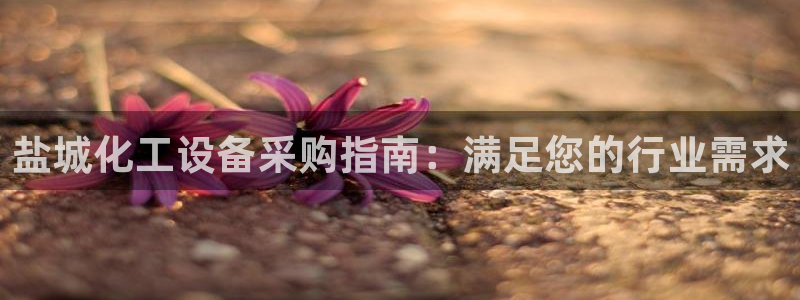 新航娱乐公司扣费流程详解视频