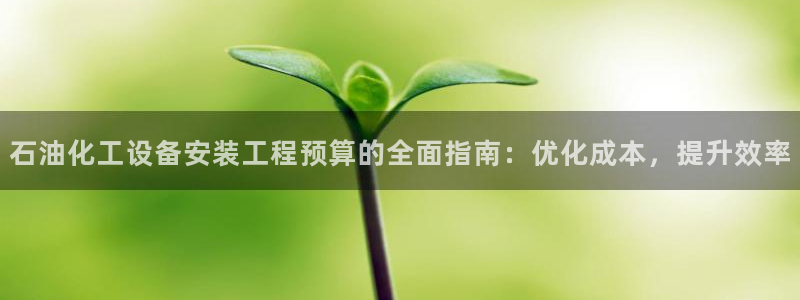 新航娱乐公司扣费流程详解表图片
