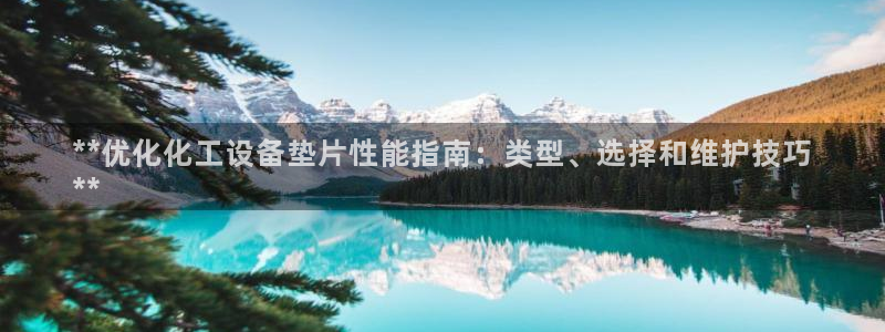 新航娱乐扣款后还能重新扣费吗：**优化化工设备垫片