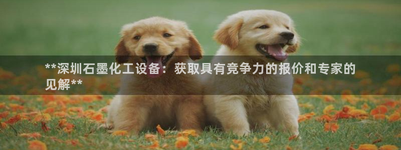 新航娱乐app手机版官网