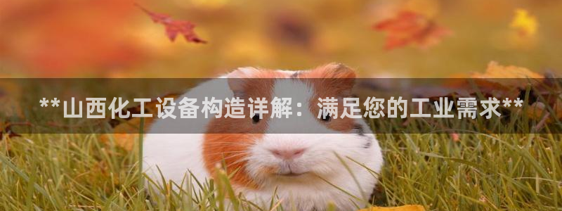 新航娱乐的员工工资福利及待遇如何