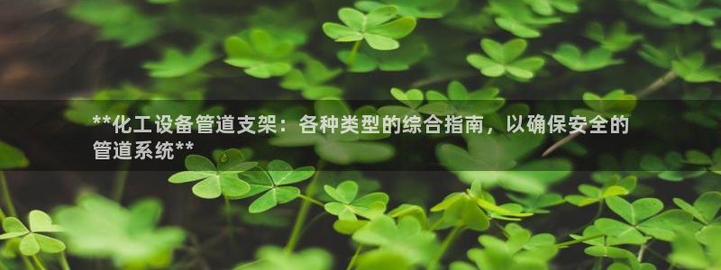 新航娱乐公司扣费流程详解视频