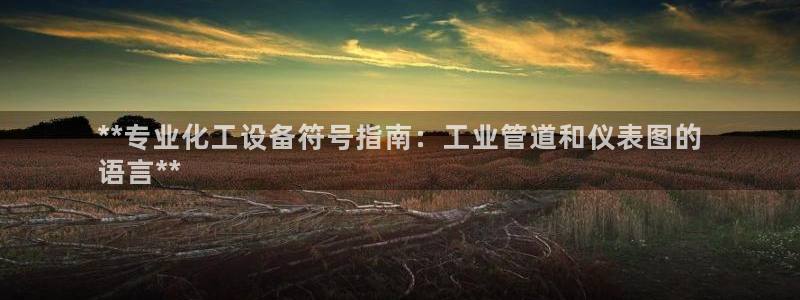 新航娱乐公司扣费流程详解图：**专业化工设备符号指