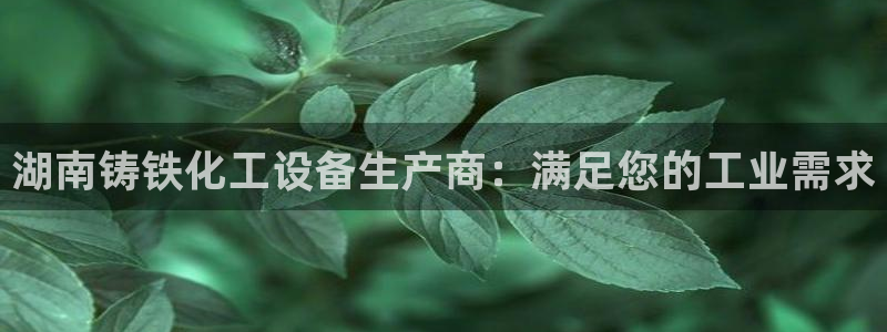 新航娱乐扣款怎么退款：湖南铸铁化工设备生产商：满足