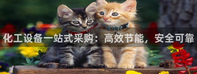 新航娱乐集团最新消息新闻