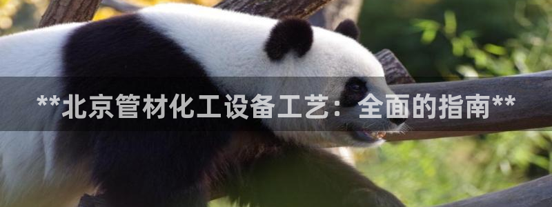 新航娱乐最新招聘信息