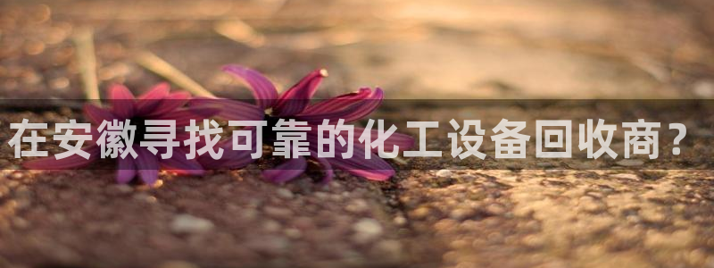新航娱乐的创始人是谁呀