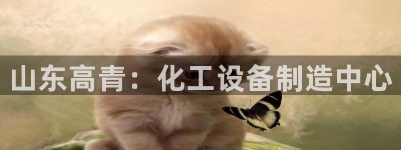 新航娱乐官网最新版本更新内容