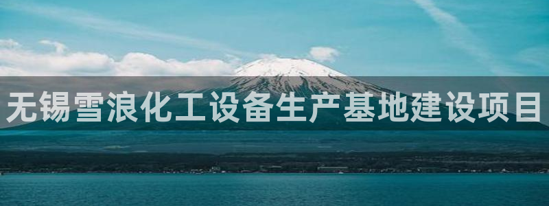 新航娱乐平台用户评价及反馈