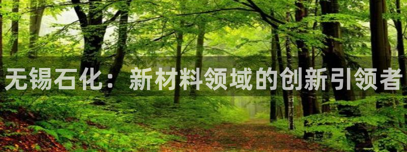 新航娱乐app的最新版本更新内容：无锡石化：新材料