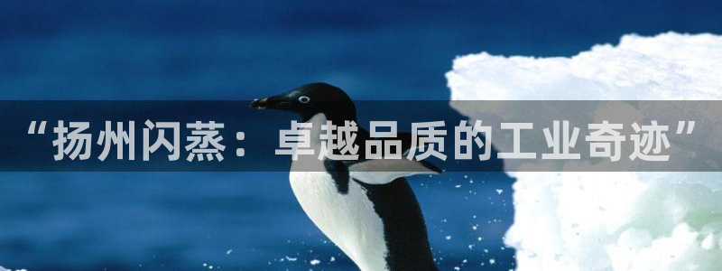 新航娱乐扣款是怎么回事