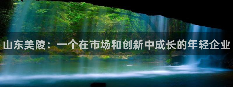 新航娱乐扣款7IIII处罚规定：山东美陵：一个在市