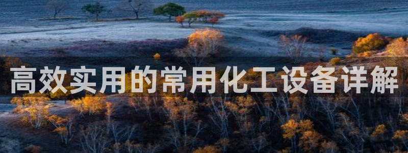 新航娱乐公司扣费流程详解视频：高效实用的常用化工设