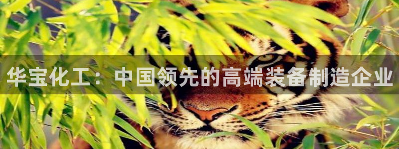 新航娱乐扣款7IIII处罚规定